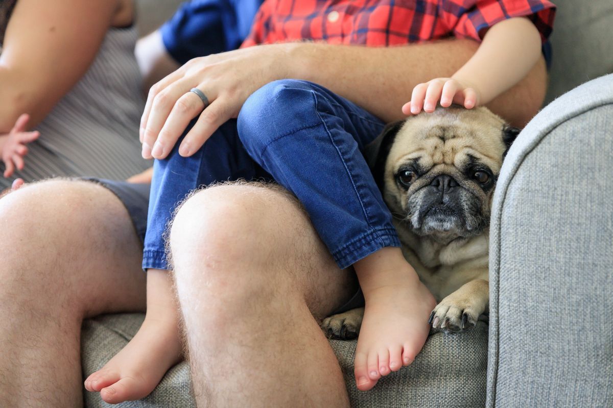 Family relaxing with a pug on a couch at home