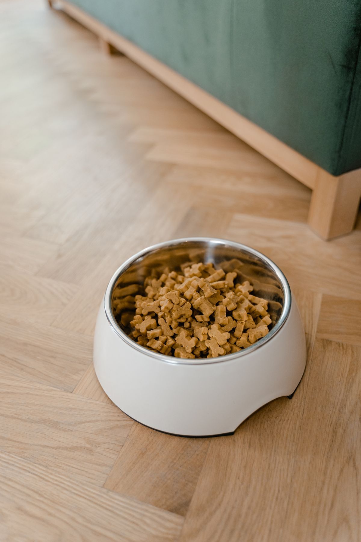 Bowl of dry dog food kibble