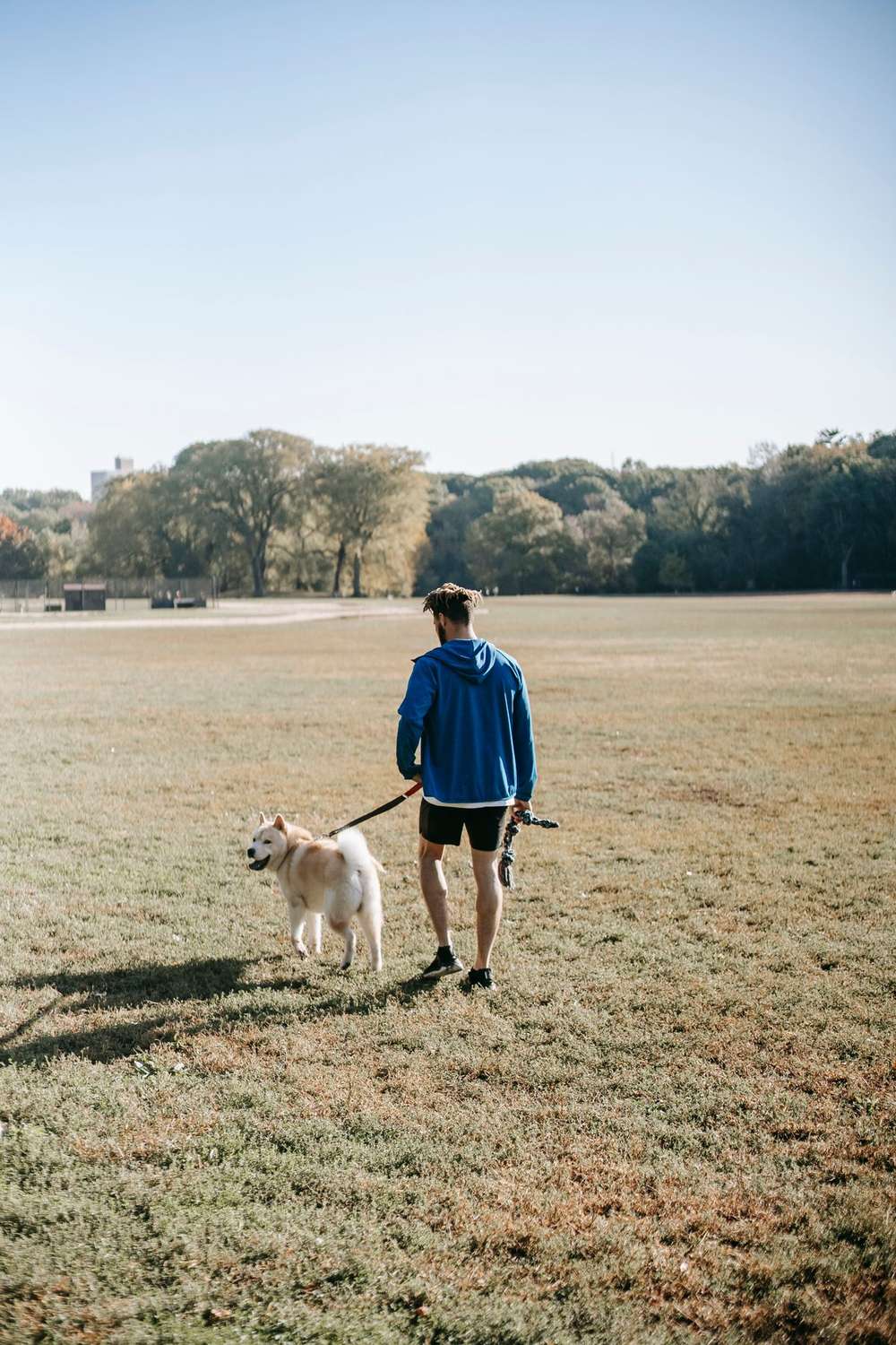 Man walking a dog on a leash in a park