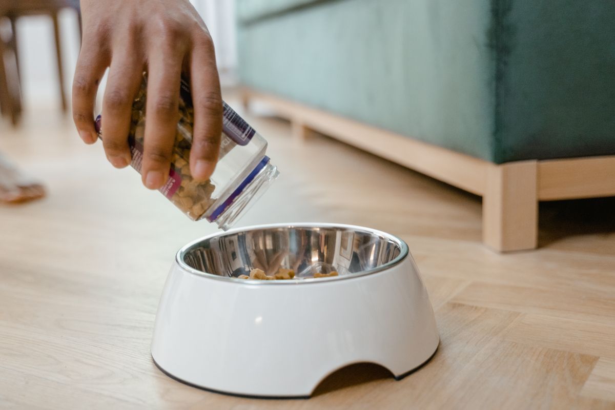 Person pouring small treats into a metal bowl